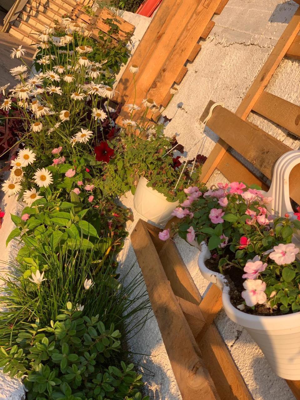 Kenza Apartments Sarandë Rom bilde